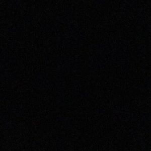 Meet your Posher, Darryl